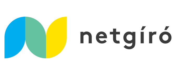 Netgiro Image